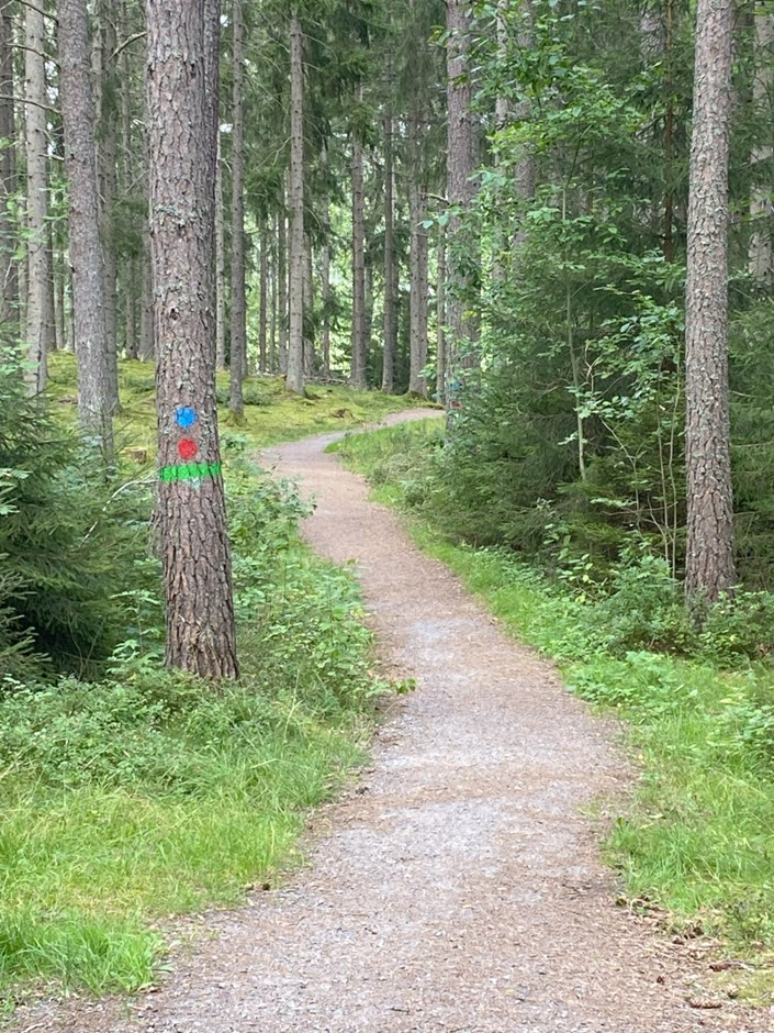 Vrinneviskogen vrinneviskogen