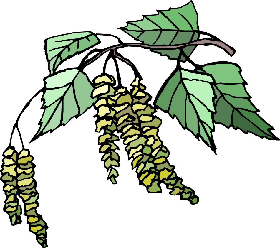 Björken i Märsta logo