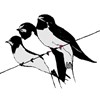 BRF fågelsångens logotyp, tre fåglar