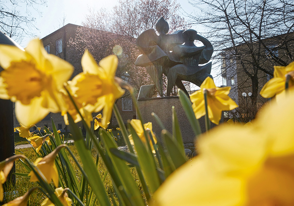 Får jag lov? Stig Blombergs skulptur ”Dansen” pryder HSB brf Annebergs gård i Malmö.