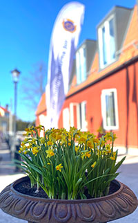 sthlm-lassemaja-pasklilja.jpg  width=