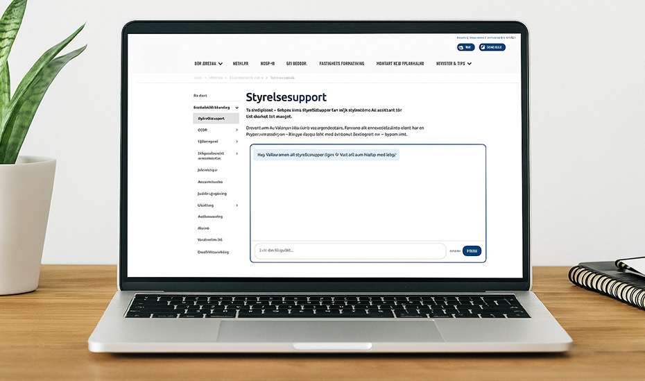 Styrelsesupport