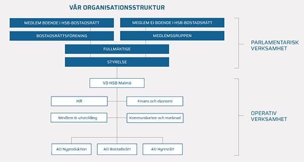 organisationsstruktur-2025_thumbnail.jpg