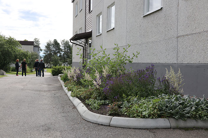 Och denna rabatt har skiftningar i grönt.