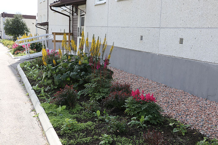 I ett tidigare projekt grävdes de gamla rabatterna upp och nu har en trädgårdsarkitekt planerat och planterat nya växter intill fasaderna. Varje husgrupp har fått växter som börjar på samma bokstav som husgruppen. På denna plats är det färgsprakande med gult och rosa.