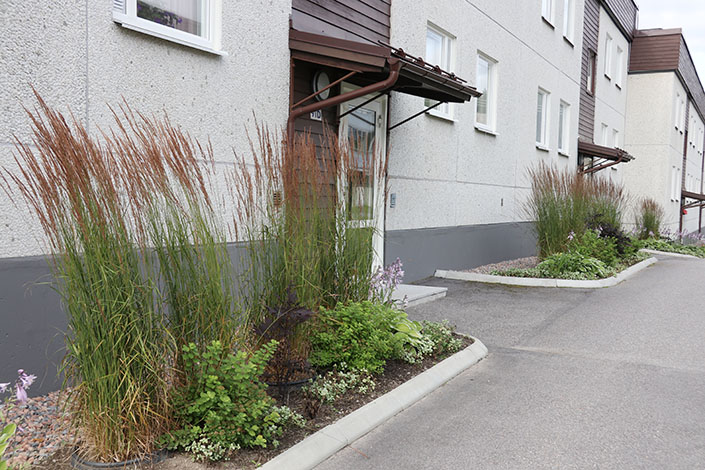 Här är det vass och man har lekt med höjdskillnader.