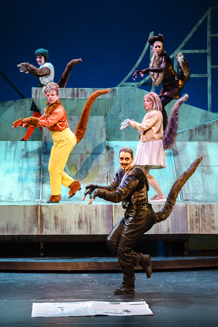 Pelle Svanslös medlemserbjudande HSB