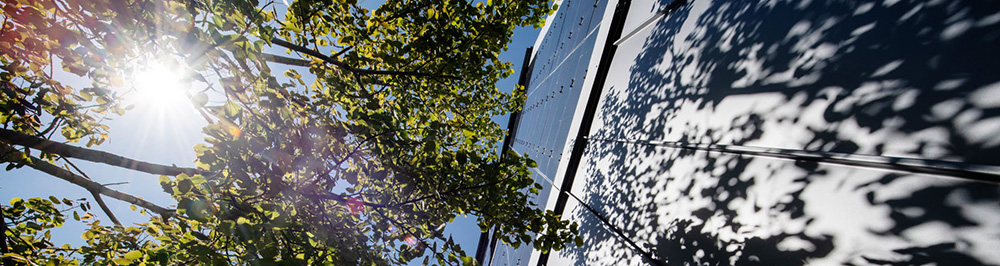 Energideklaration_1000x266.jpg