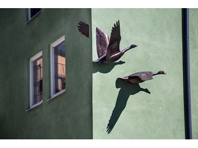 Skulpturerna Flygande gäss av Kent Ullberg. Foto: Bonava.