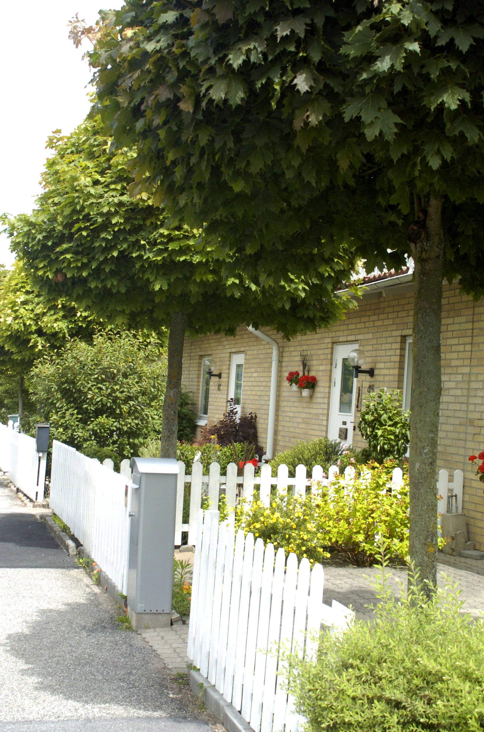 Gullvik