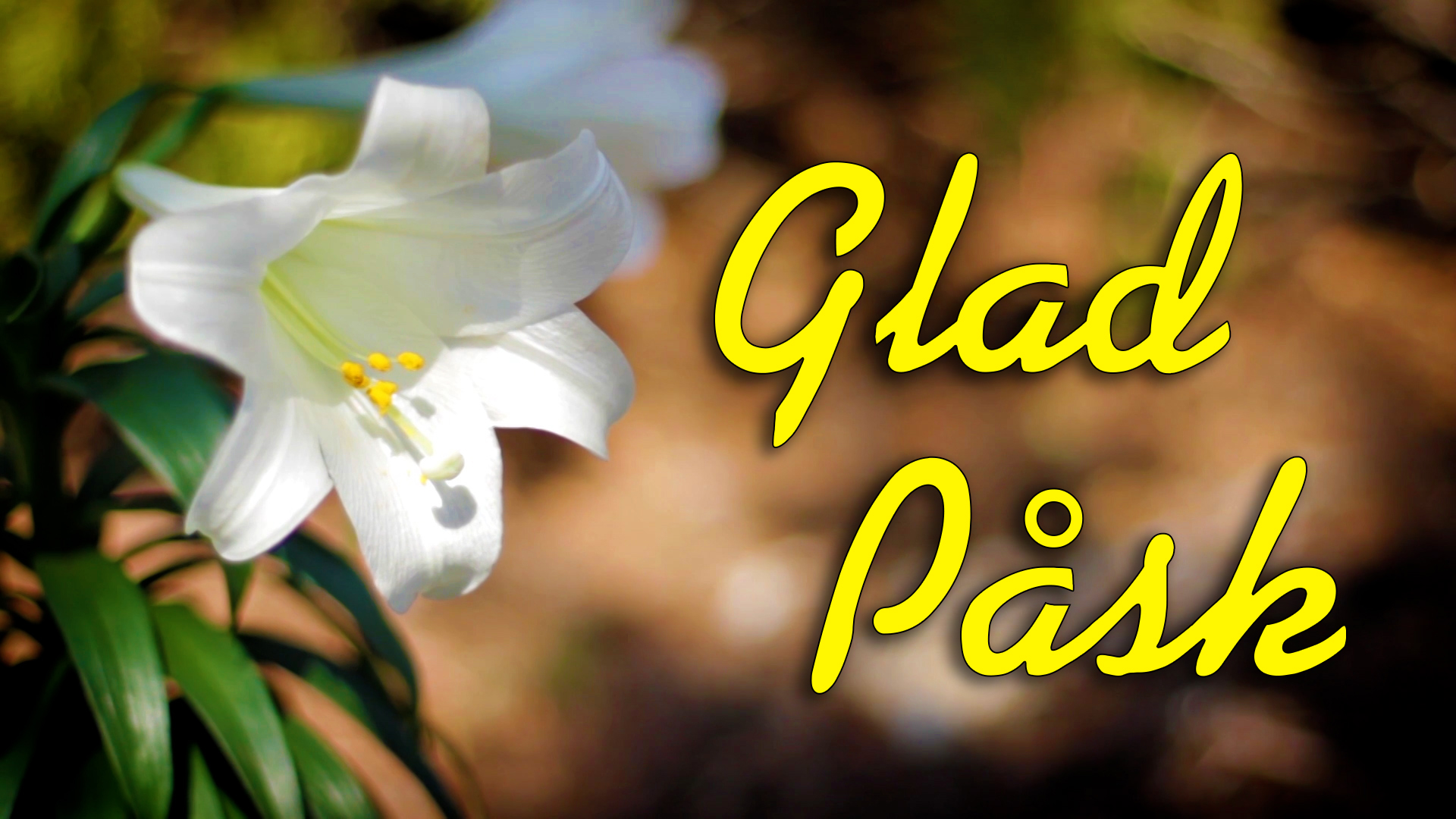 Glad Påsk
