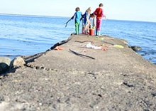 Krabbfiske på barnkollot i Magnarp