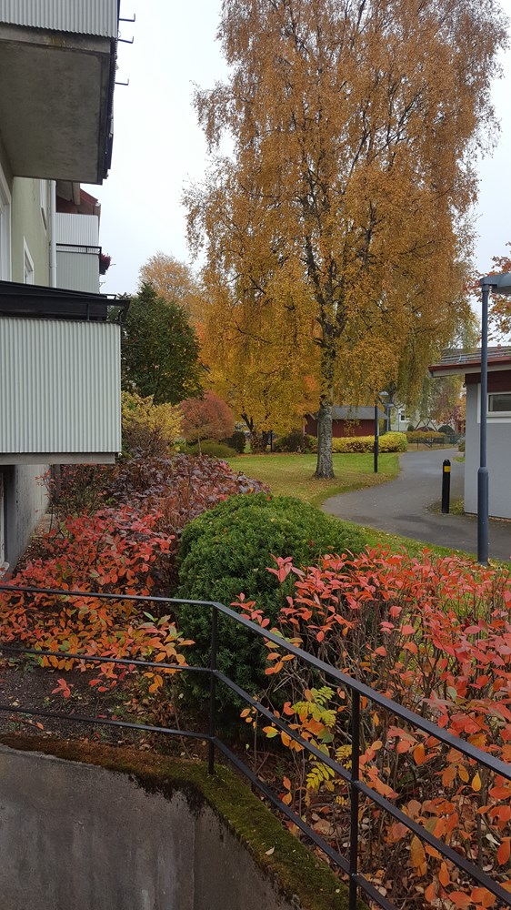 Brännerigatan 8 i Värnamo