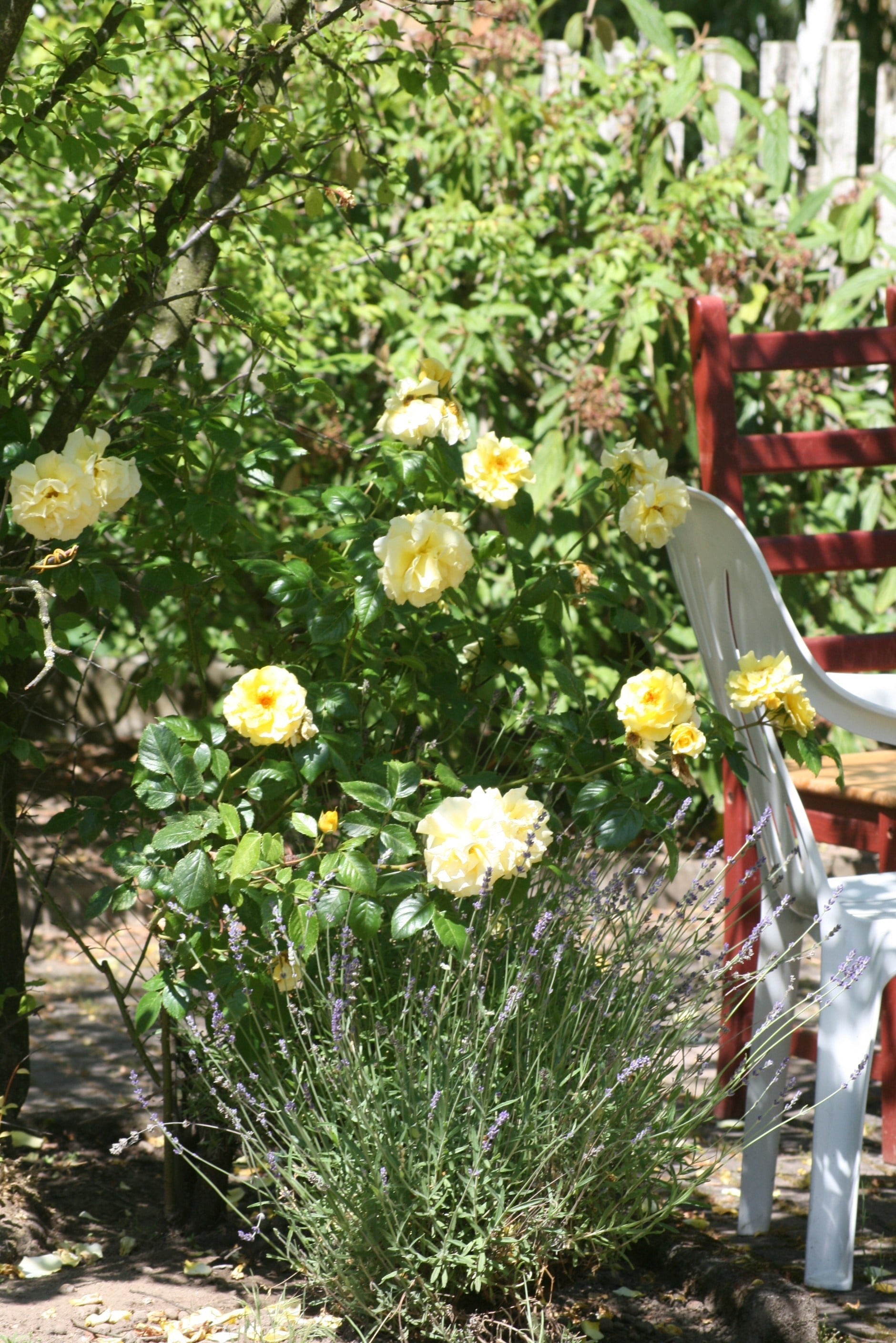 Property image 30